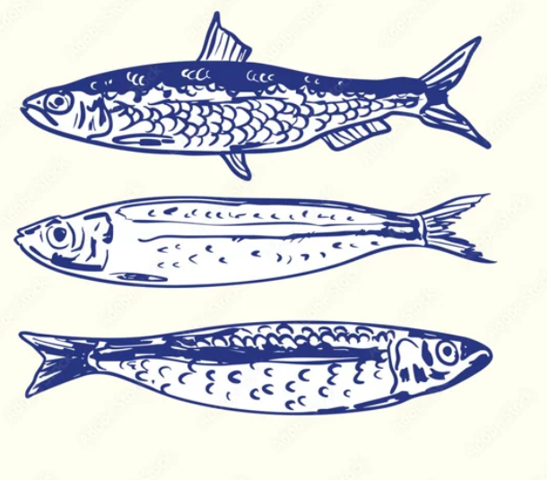 Sardines lino-cut