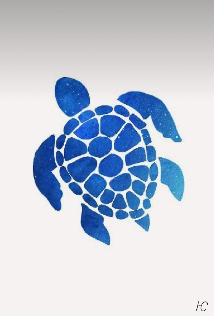 Sea Turtle